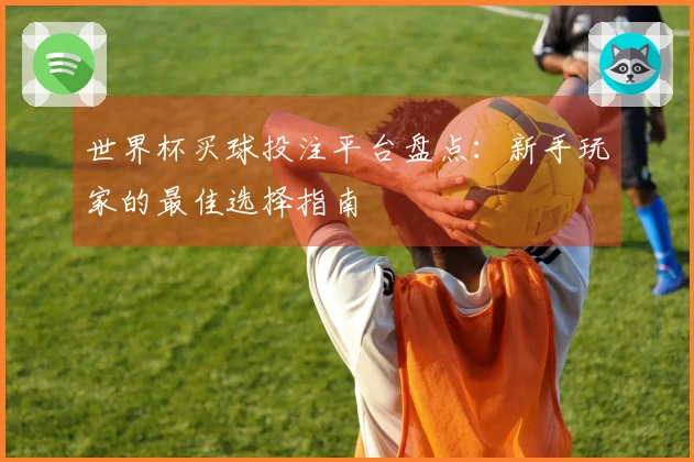世界杯买球投注平台盘点：新手玩家的最佳选择指南