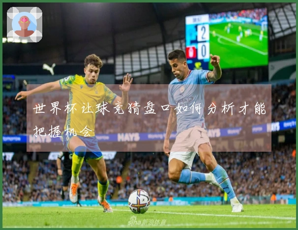 世界杯让球竞猜盘口如何分析才能把握机会