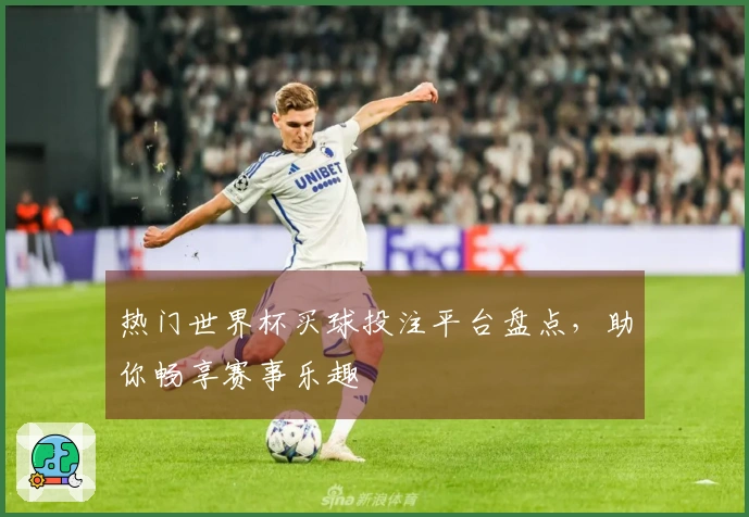 热门世界杯买球投注平台盘点，助你畅享赛事乐趣